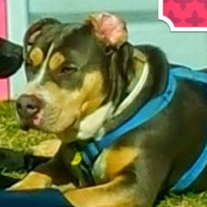 Meet your Posher, Rebekah